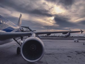 Aeromoça salva ovos de flamingo. (Foto: Ahmed Muntasir/Pexels)