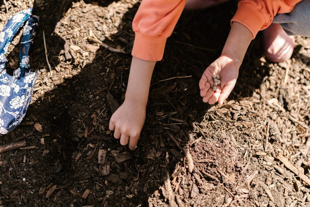 Compostagem obrigatória. (Foto: RDNE Stock project/Pexels)