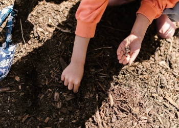 Compostagem obrigatória. (Foto: RDNE Stock project/Pexels)