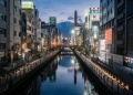 Enguias no Rio Dotonbori. (Foto: Satoshi Hirayama/Pexels)