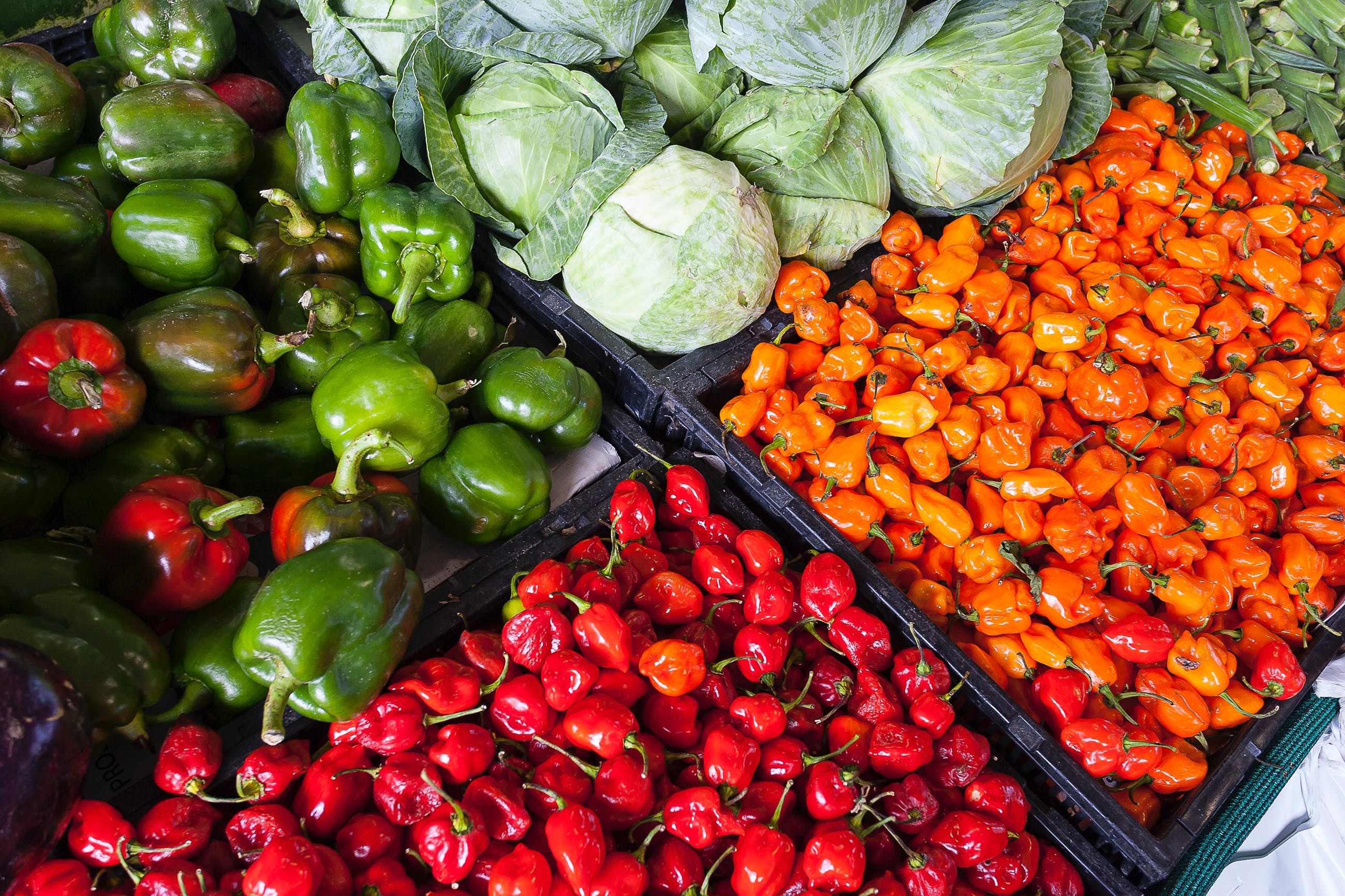 Frutas e verduras. (Foto: Mark Stebnicki/Pexels)
