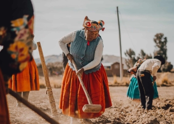 Agricultura em Puno, Peru. Foto: Pexels.