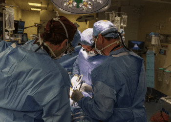 Primeiro transplante de um rim de porco em uma paciente vivo (Foto: Divulgação/Massachussets General Hospital)