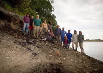 Fóssil de boto gigante é descoberto na Amazônia