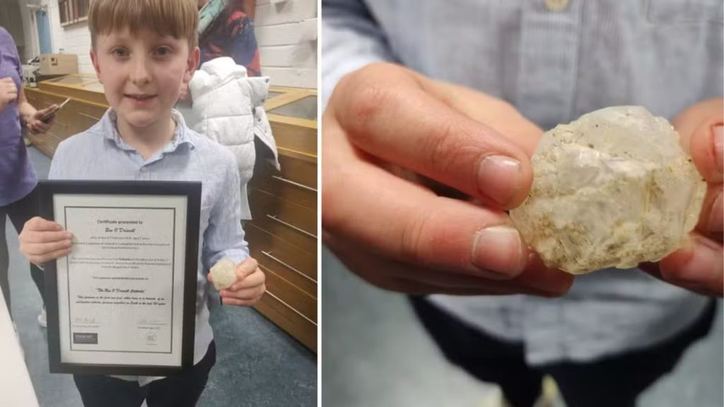 Menino de 7 anos acha mineral raro após 150 anos e é premiado