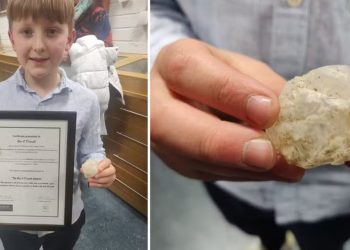 Menino de 7 anos acha mineral raro após 150 anos e é premiado
