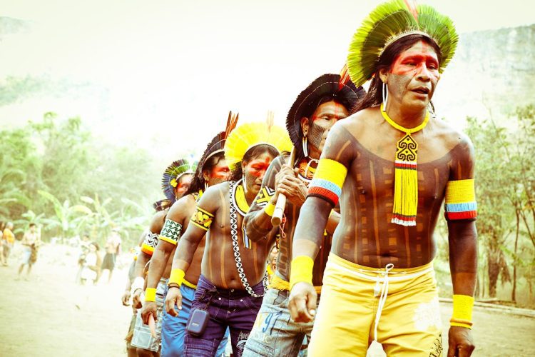Fundo Brasil apoia povos indígenas. (Foto: Fredox Carvalho/Pexels)