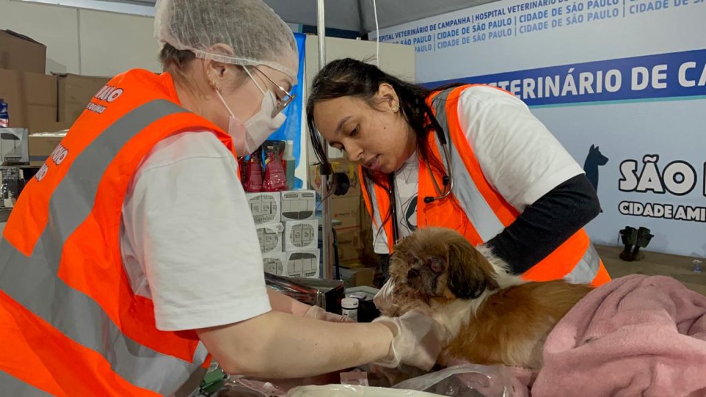 (Foto: divulgação/SMS)