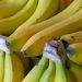 Como conservar banana por mais tempo sem estragar rápido