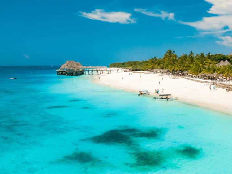 Ilha paradisíaca: iniciativa de Zanzibar recupera 80% dos corais