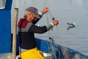 Energia elétrica para pescadores com desconto.