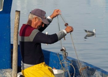 Energia elétrica para pescadores com desconto.