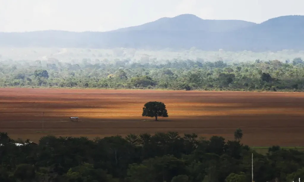 Microsoft conquista marcos ecológicos com projeto no Cerrado