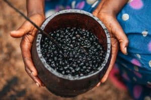 Açaí é uma das frutas mais conhecidas da Amazônia. (Foto ilustrativa: Christian Alemu/Pexels)