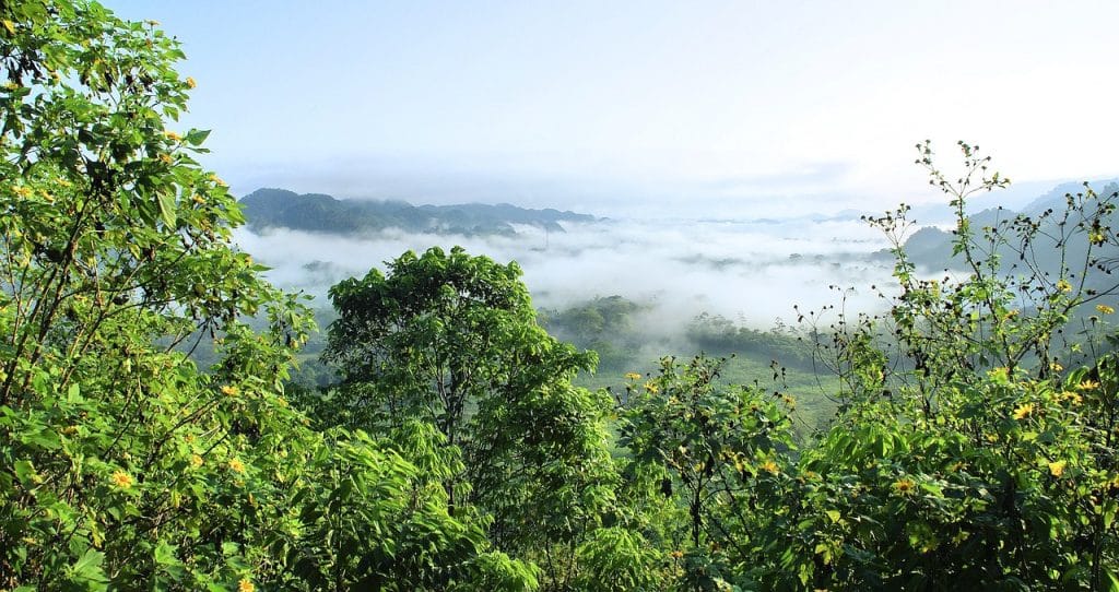 Amazônia