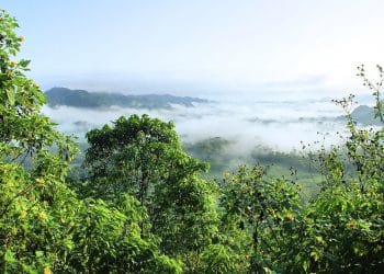 Amazônia