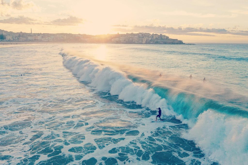 Jornalismo ambiental em foco. (Foto: Larry Snickers/Pexels)