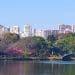 Parque-Ibirapuera-aniversario-divulgacao-wikipedia