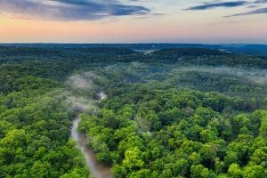 amazonia-queda-historica-desmatamento-tomfisk