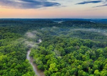 amazonia-queda-historica-desmatamento-tomfisk