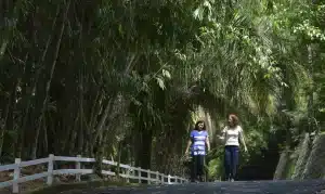 Parques estaduais - São Paulo