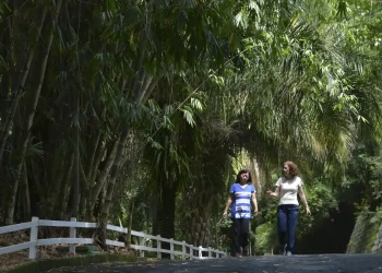 Parques estaduais - São Paulo