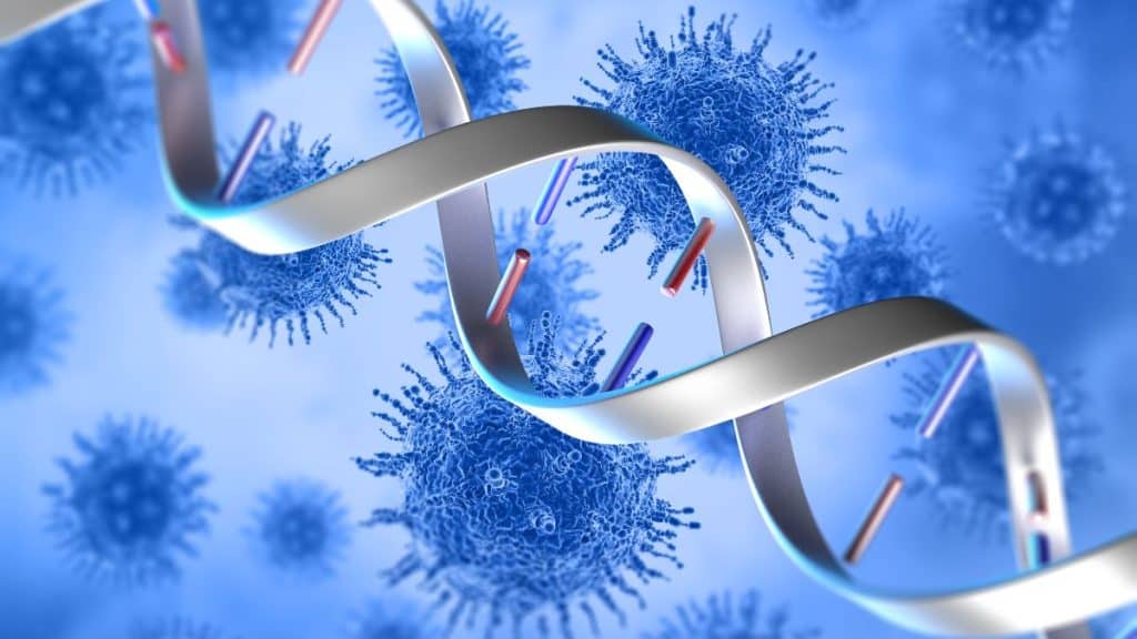 Imagem ilustrativa de espécies de vírus RNA, destacando o material genético em fita simples, representado pela estrutura de RNA em frente aos vírus.