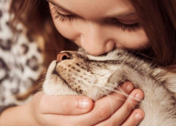 Criança beijando um gato.