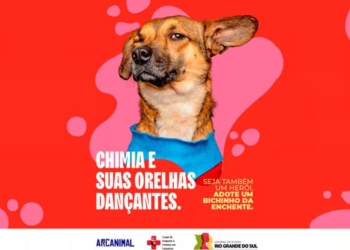 Imagem da campanha para incentivar a adoção de animais vítimas da enchente do Rio Grande do Sul.