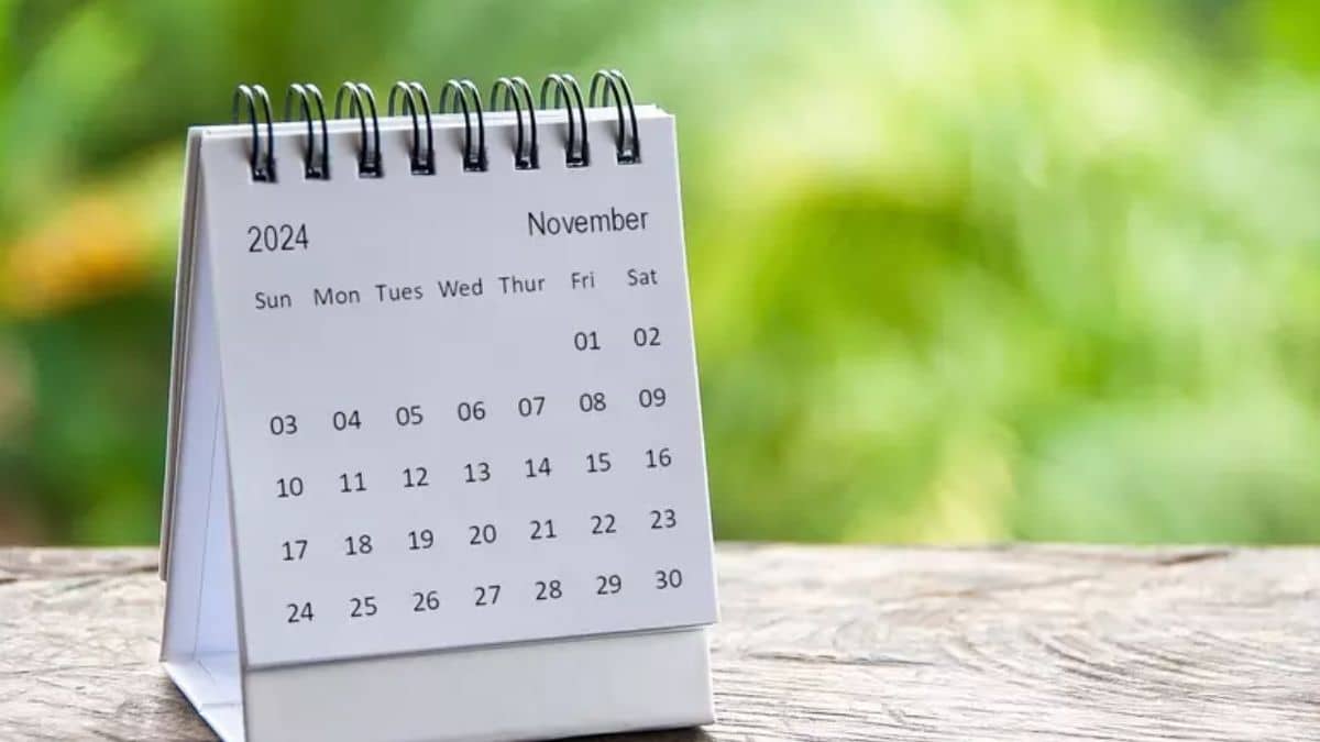 Calendário com feriados de novembro.