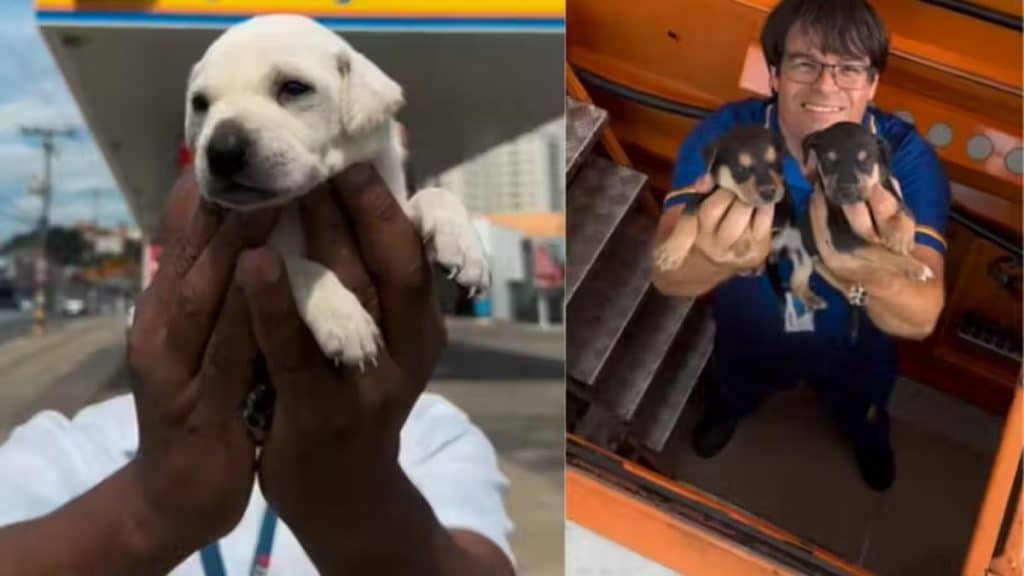 Dois funcionários seguram filhotes de cachorro resgatados em um posto de gasolina.