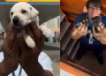 Dois funcionários seguram filhotes de cachorro resgatados em um posto de gasolina.