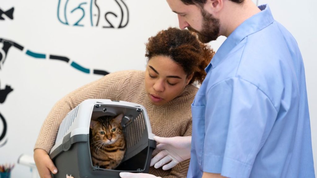 Atendimento veterinário em Benfica