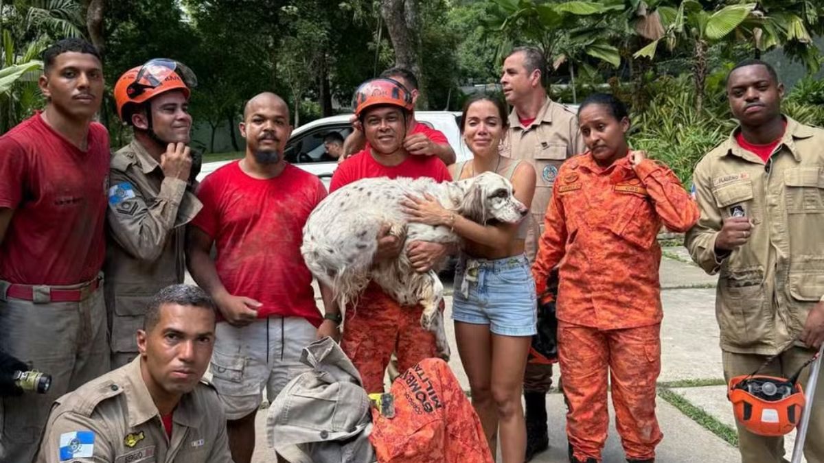 Cachorro de Anitta é resgatado