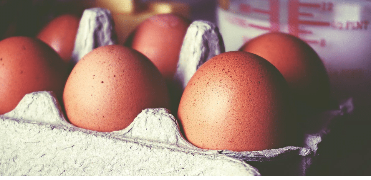 Importação de ovos do Brasil em destaque com ovos marrons em embalagem de papelão para exportação aos EUA.