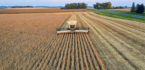 Colheitadeira em ação em lavoura extensa, simbolizando que o Pará lidera produção agropecuária no Brasil