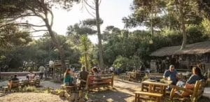 A imagem mostra um ambiente ao ar livre, com mesas e bancos de madeira, rodeado por vegetação. O local transmite um clima de harmonia com a natureza, com pessoas desfrutando do espaço em um ambiente tranquilo. A arquitetura e os móveis feitos de materiais naturais refletem um compromisso com a sustentabilidade, criando um espaço ecológico e aconchegante para os visitantes. A vegetação ao redor complementa a ideia de integração com o meio ambiente, promovendo a sustentabilidade e o respeito à natureza.