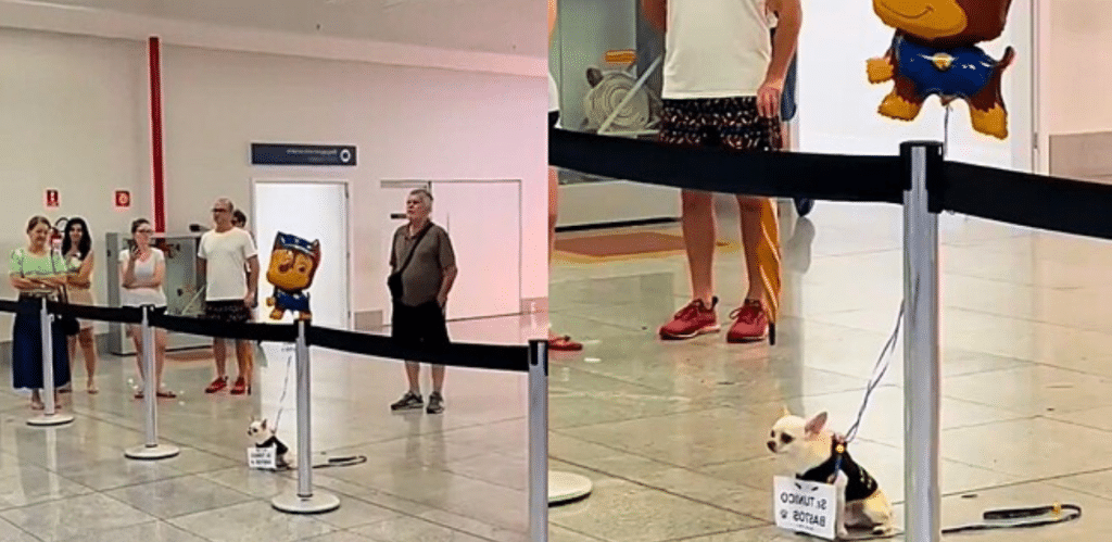 A imagem mostra uma cena em um aeroporto onde um pequeno Chihuahua, está amarrado a um poste por uma coleira azul. O cachorro veste um colete preto e tem um cartaz pendurado que diz "Sr. TUNICO BASTOS". Acima dele, preso à coleira, há um balão de hélio do personagem Chase, do desenho animado "Patrulha Canina".