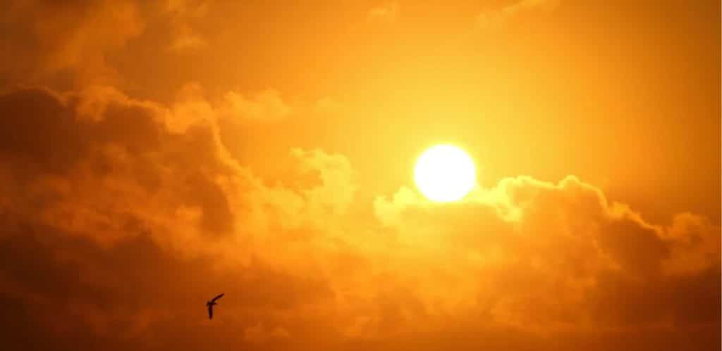 Clima quente ao entardecer: sol intenso entre nuvens alaranjadas, com um pássaro voando no céu