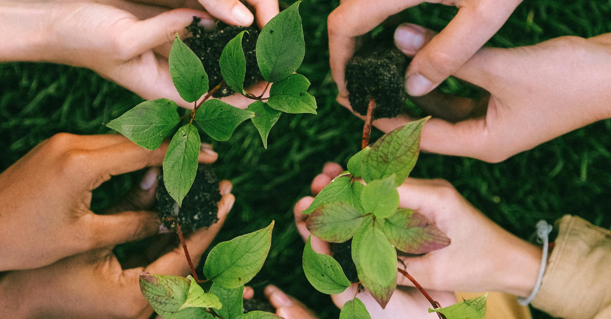 Grupo de pessoas segurando mudas de plantas, simbolizando o compromisso com a sustentabilidade e o meio ambiente no III CONISAF.
