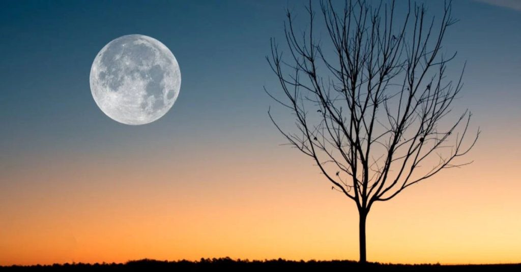 Fase da Lua hoje é Cheia, visível ao entardecer com céu limpo