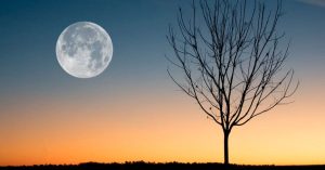 Fase da Lua hoje é Cheia, visível ao entardecer com céu limpo