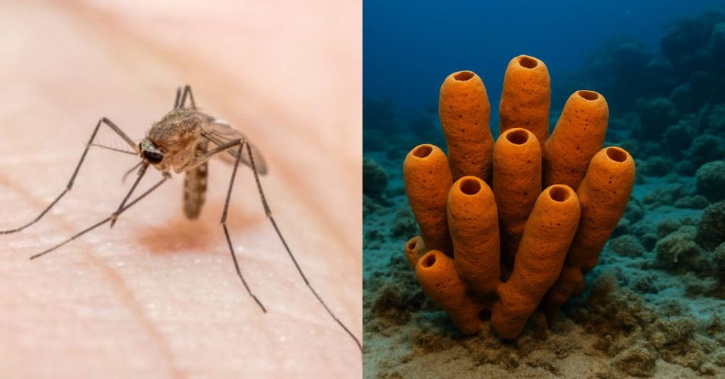 Esponjas marinhas no fundo do oceano com aparência natural e detalhada