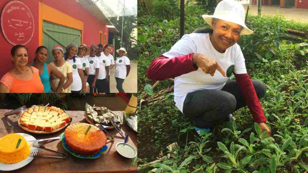 Mulheres cultivando alimentos em uma horta urbana na periferia de São Paulo. horta em periferia de SP com mulheres plantando juntas.