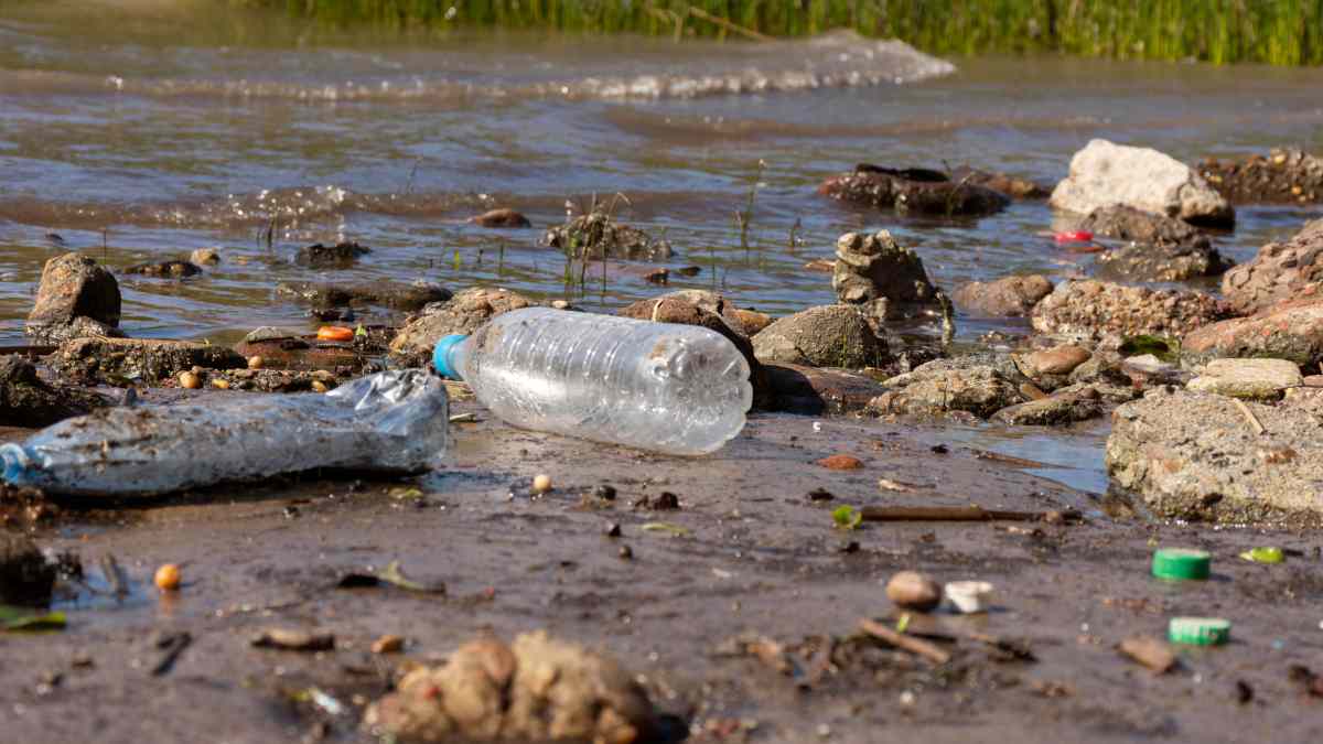 Poluição por plástico afeta ecossistemas costeiros em todo o mundo e é o tema central do Dia Mundial do Meio Ambiente 2025