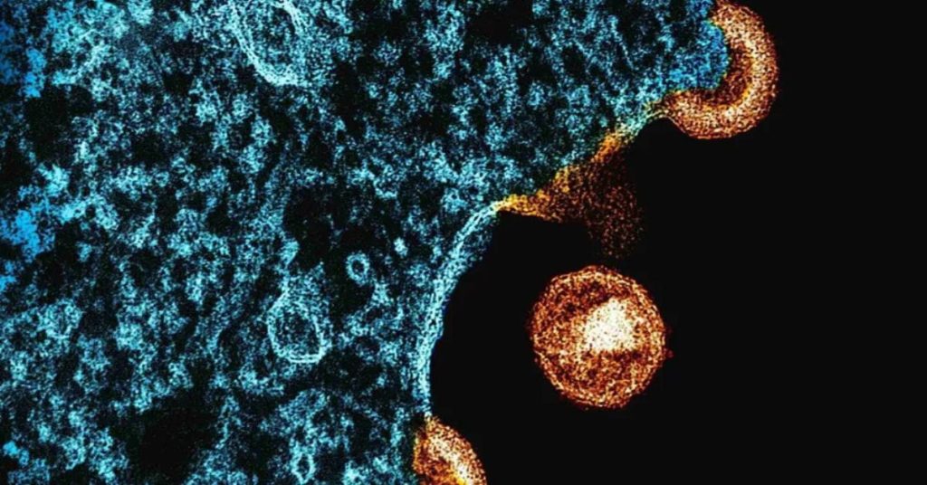 Imagem mostra partícula do HIV sendo exposta por nova técnica que pode contribuir para a cura do HIV