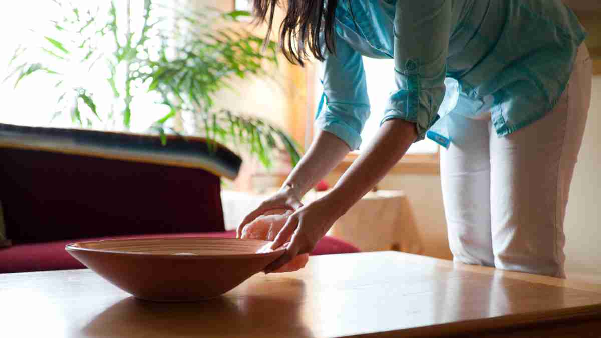 Sala harmonizada com elementos naturais, plantas e luz solar segundo o Feng Shui em casa