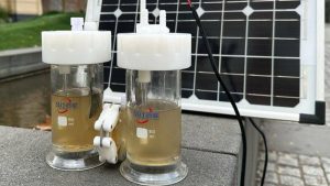 Sistema experimental da RMIT University com águas residuais e painel solar para geração sustentável de combustível.