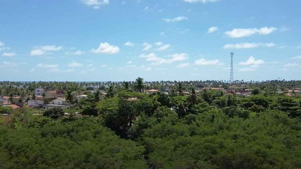 Rota de agroturismo sustentável no Nordeste valoriza cultura alimentar e biodiversidade do Semiárido.