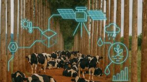 Integração Lavoura-Pecuária-Floresta - Biotecnologia